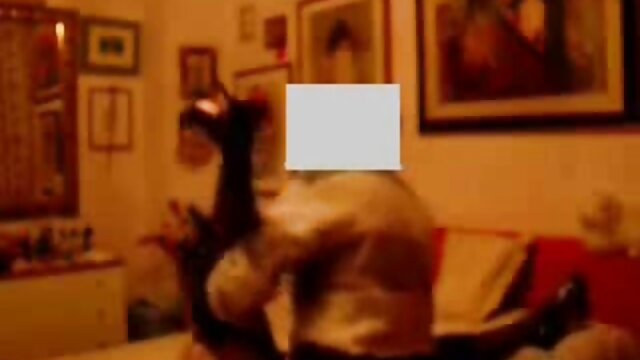 أفلام عالية الجودة :  سلوتي خطوة الأخت يظهر لها فيديو سكس محارم مترجم الأبرياء شقيقة المتعة مقاطع فيديو مجانية 