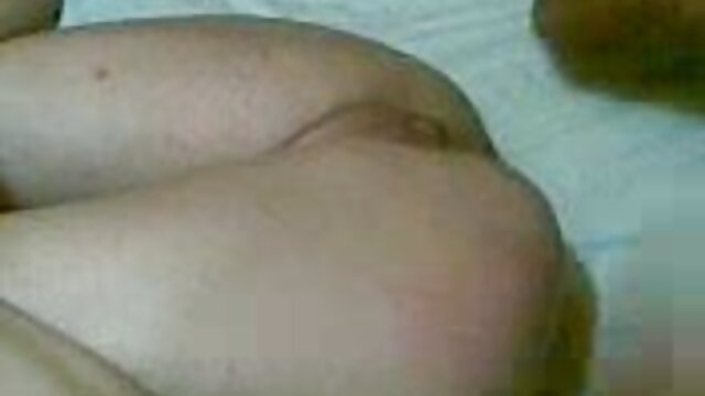 أفلام عالية الجودة :  سكايلا بوستير-حب حياتي سكس اخوات مترجم جديد مقاطع فيديو مجانية 