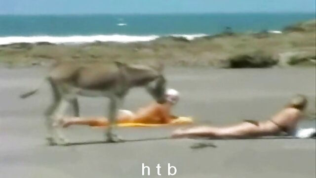 أفلام عالية الجودة :  زوجة تقاسم سكس محارم امريكي مترجم السرير مع ابنه مقاطع فيديو مجانية 