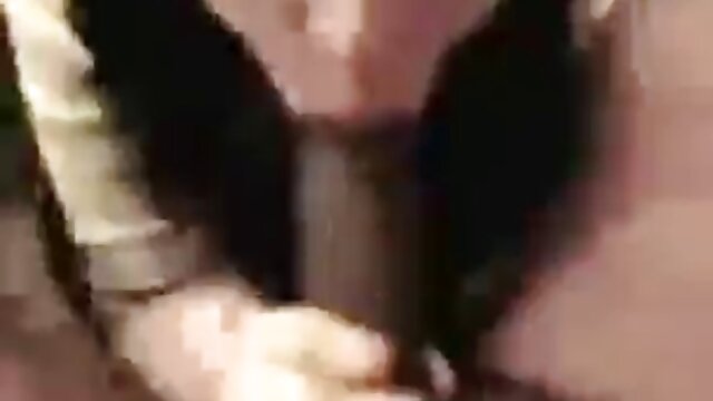 أفلام عالية الجودة :  خنثي افلام سكس مترجمه محارم هيئة المحلفين الشرج اللعنة كمال اجسام مقاطع فيديو مجانية 